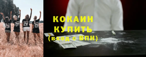 ешки Новодвинск