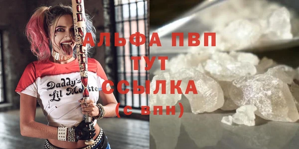 молекула духа Новокубанск
