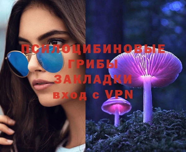 PSILOCYBIN Верея