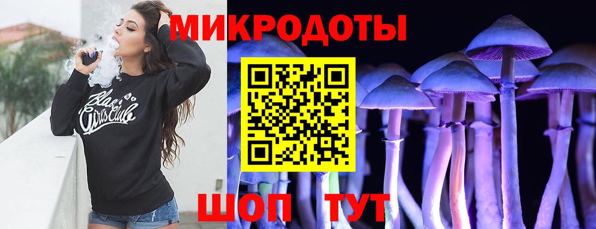 Псилоцибиновые грибы мицелий  Псилоцибиновые грибы Cubensis  Балабаново 