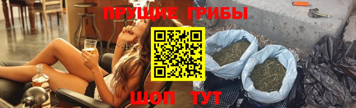 Галлюциногенные грибы Psilocybine cubensis Балабаново