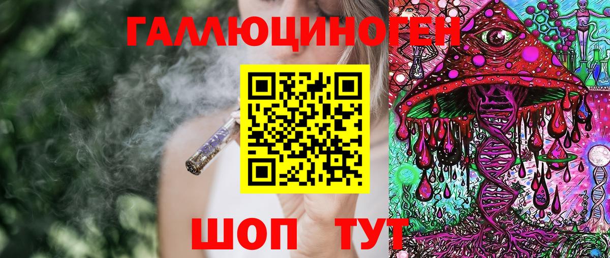 Псилоцибиновые грибы Psilocybe  Вход с VPN  Балабаново 